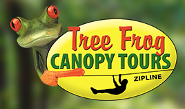 Tree Frog Canopy Tours